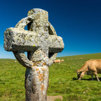 The Croix de la Rode is a very old stone cross erected on the Aubrac plateau, on the pilgrimage path of Saint Guilhem le Desert and among the cows.