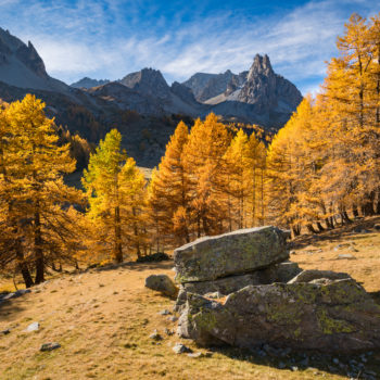 Cerces Massif with the famous Main de Crepin peak in the Claree Valley with larch trees in full Autumn colors. Vallee de la Claree in the Hautes Alpes, French Alps, France